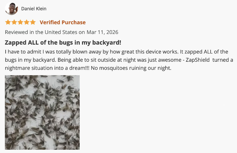ZapShield customer review screenshot