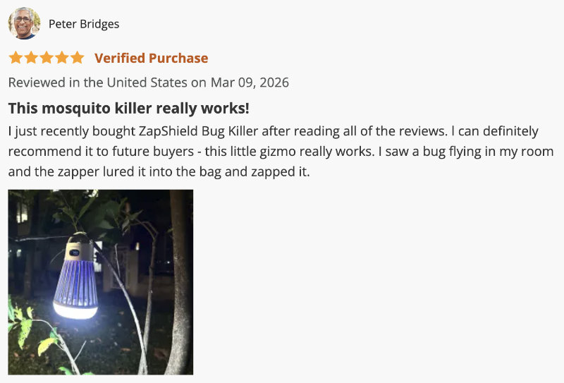 ZapShield customer review screenshot